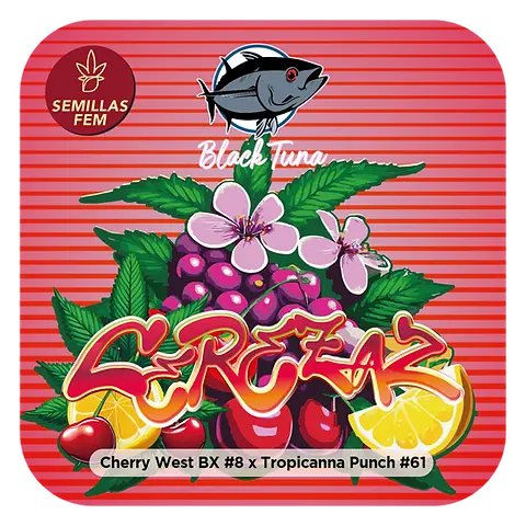 Cerezaz