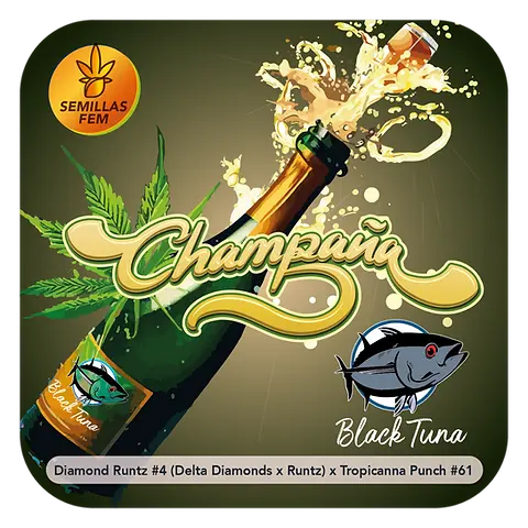 Champaña