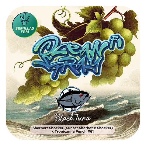 Ocean Spray