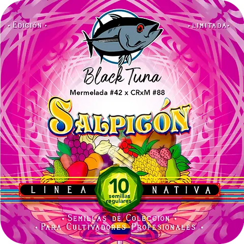 Salpicón