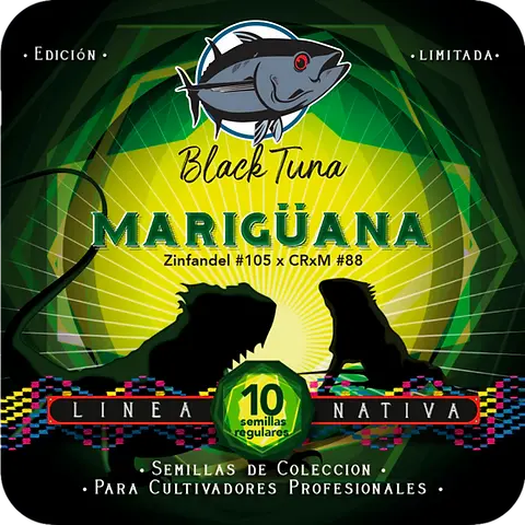 Marigüana