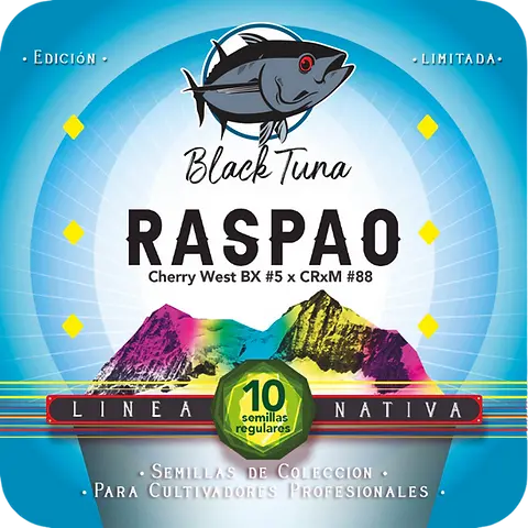 Raspao
