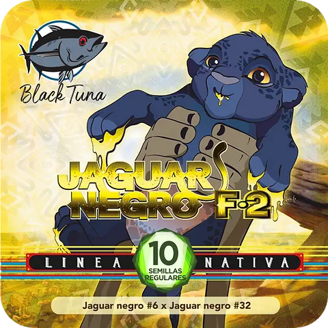 Jaguar Negro F2